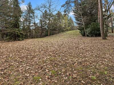 Grundstück kaufen in 2102 Hagenbrunn (Bild 3)