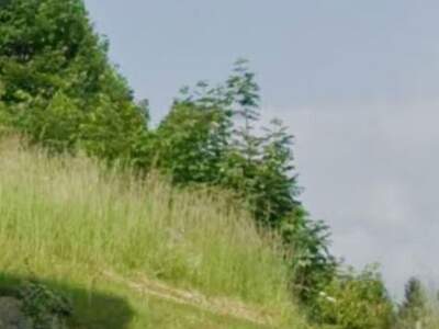 Grundstück kaufen in 9530 Bad Bleiberg (Bild 1)