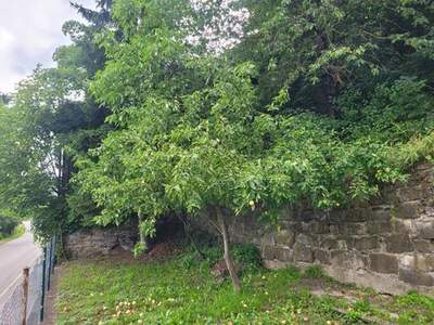 Grundstück kaufen in 3160 Traisen