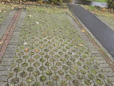 Immobilie mieten in 4053 Ansfelden (Bild 1)