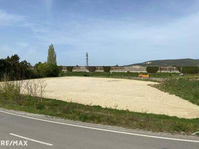 Grundstück kaufen in 2542 Kottingbrunn