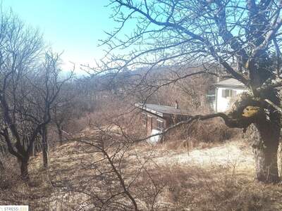 Haus kaufen in 2103 Langenzersdorf (Bild 2)