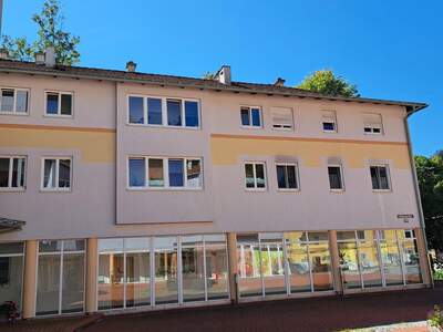 Wohnung mieten in 2770 Gutenstein (Bild 4)