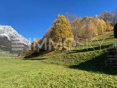 Grundstück kaufen in 8960 Niederöblarn