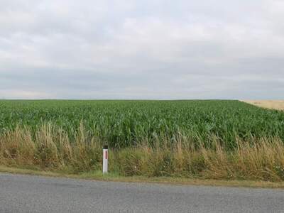 Gewerbeobjekt kaufen in 2011 Sierndorf