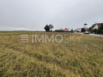 Grundstück kaufen in 2201 Kapellerfeld (Bild 4)