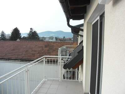 Terrassenwohnung mieten in 2353 Guntramsdorf (Bild 1)