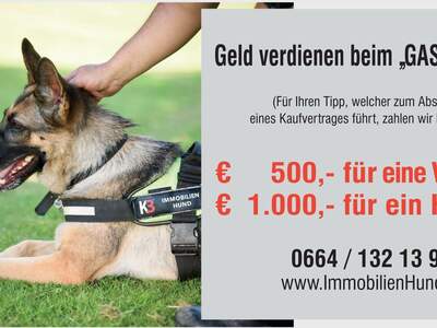 Grundstück kaufen in 5630 Bad Hofgastein (Bild 2)