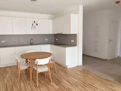 Eigentumswohnung in 4284 Tragwein (Bild 2)