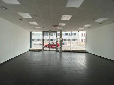 Gewerbeobjekt mieten in 4600 Wels (Bild 2)