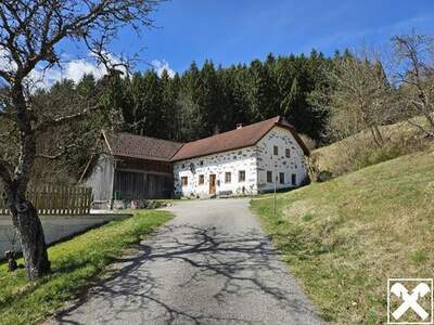 Haus kaufen in 4272 Nadelbach