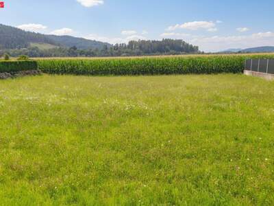 Grundstück kaufen in 9100 Töllerberg