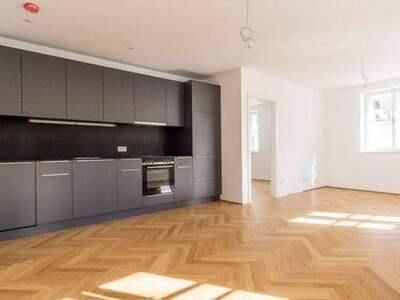 Gewerbeobjekt mieten in 1060 Wien (Bild 1)