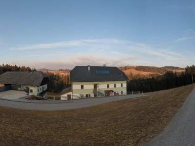 Haus kaufen in 4143 Neustift