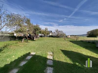 Einfamilienhaus kaufen in 7511 Mischendorf (Bild 3)