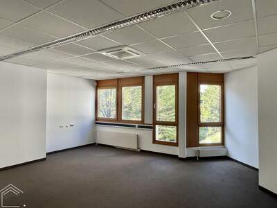 Gewerbeobjekt mieten in 1210 Wien (Bild 4)