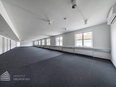 Gewerbeobjekt mieten in 1010 Wien
