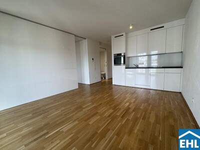 Terrassenwohnung mieten in 1030 Wien (Bild 3)