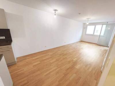 Wohnung mieten in 1110 Wien