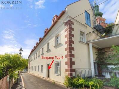 Altbauwohnung kaufen in 1190 Wien (Bild 2)