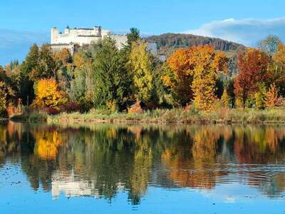 Eigentumswohnung in 5020 Salzburg (Bild 2)