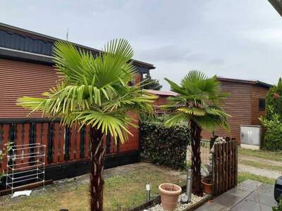 Gewerbeobjekt kaufen in 7161 Sankt Andrä