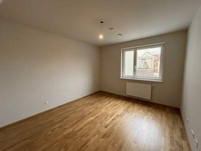 Terrassenwohnung mieten in 3140 Pottenbrunn (Bild 5)