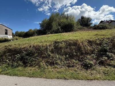 Grundstück provisionsfrei kaufen in 2811 Wiesmath