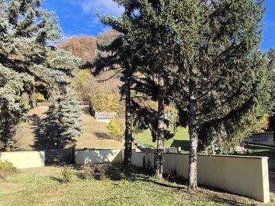 Haus kaufen in 2103 Langenzersdorf (Bild 3)