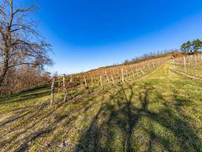 Gewerbeobjekt kaufen in 3710 Ziersdorf