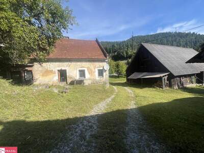 Grundstück kaufen in 8712 Proleb (Bild 5)