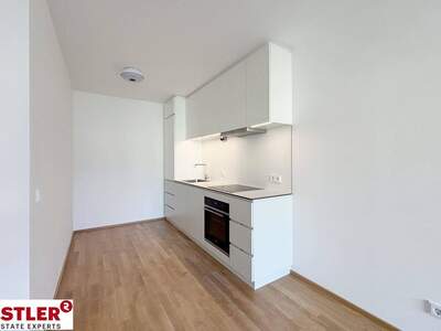 Wohnung mieten in 2340 Mödling