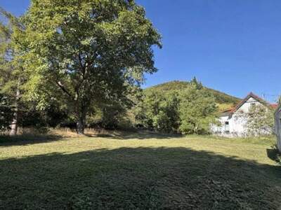 Grundstück kaufen in 2532 Sattelbach