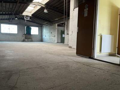 Gewerbeobjekt mieten in 2492 Eggendorf (Bild 3)