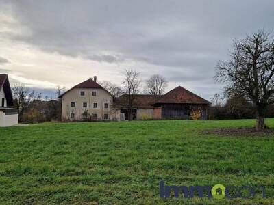 Grundstück kaufen in 4692 Niederthalheim