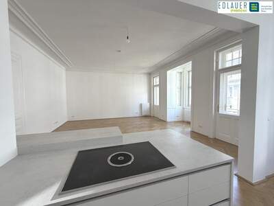 Terrassenwohnung mieten in 1010 Wien (Bild 2)