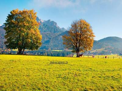 Grundstück kaufen in 5771 Leogang