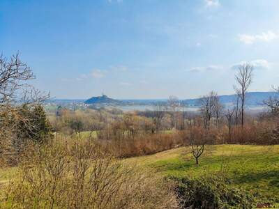 Grundstück kaufen in 7540 Güssing (Bild 1)