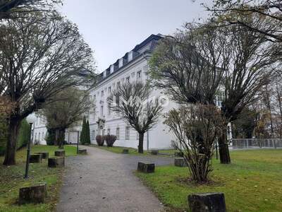 Immobilie mieten in 4600 Thalheim (Bild 1)