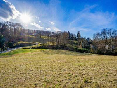 Grundstück kaufen in 3031 Rekawinkel (Bild 1)