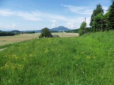 Grundstück kaufen in 9063 Maria Saal