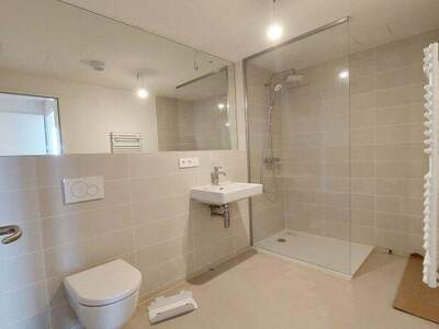 Terrassenwohnung mieten in 1220 Wien (Bild 3)