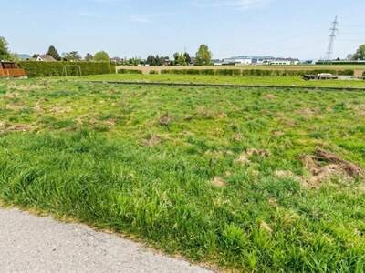 Grundstück kaufen in 8430 Leibnitz