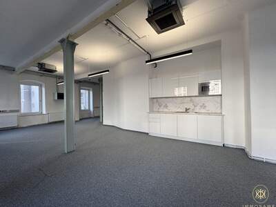Gewerbeobjekt mieten in 1100 Wien (Bild 2)