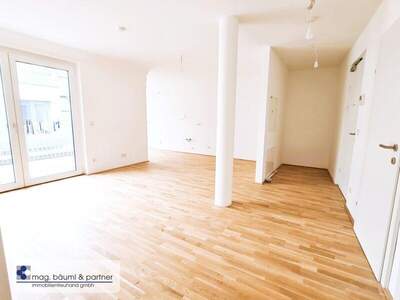 Terrassenwohnung kaufen in 1220 Wien (Bild 3)