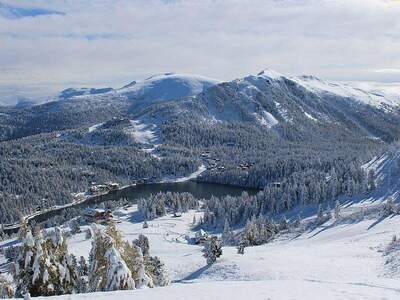Haus kaufen in 9565 Turracherhöhe