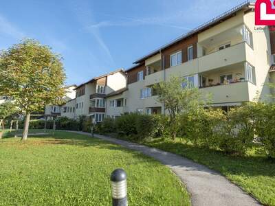 Mietwohnung in 4560 Kirchdorf (Bild 5)