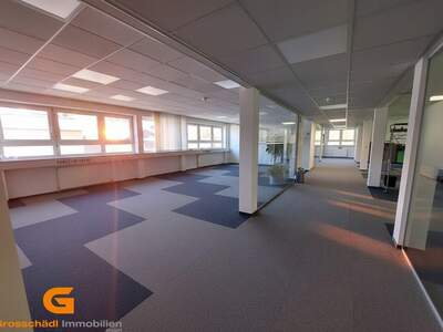 Gewerbeobjekt mieten in 5412 Puch (Bild 1)