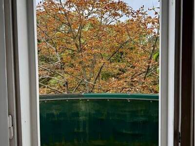 Terrassenwohnung kaufen in 1130 Wien (Bild 5)
