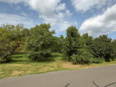 Grundstück kaufen in 7461 Altschlaining